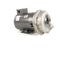 CHAMPION 414373