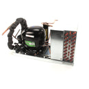 DELFIELD 000-BN5-0037-S