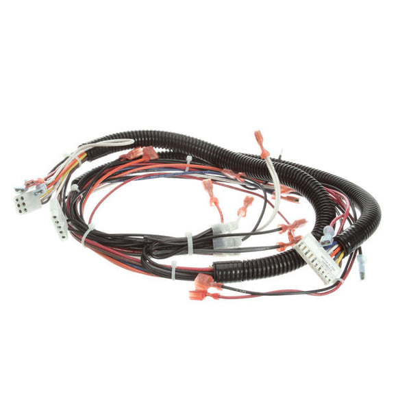 DUKE 512786