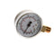 GROEN 156047
