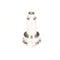 MIDDLEBY MARSHALL 22174-0011