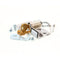 PERLICK C5950-2R