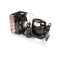 RANDELL RF CON1503