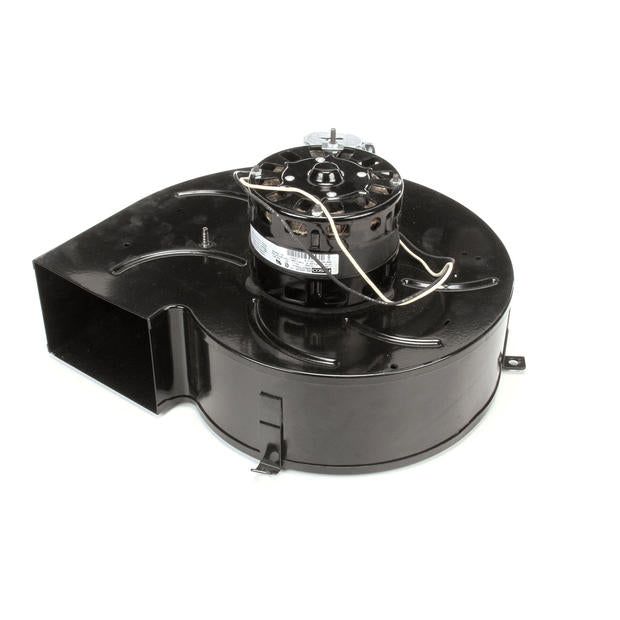WELLS 2U-302984