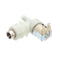WELLS 2E-304270